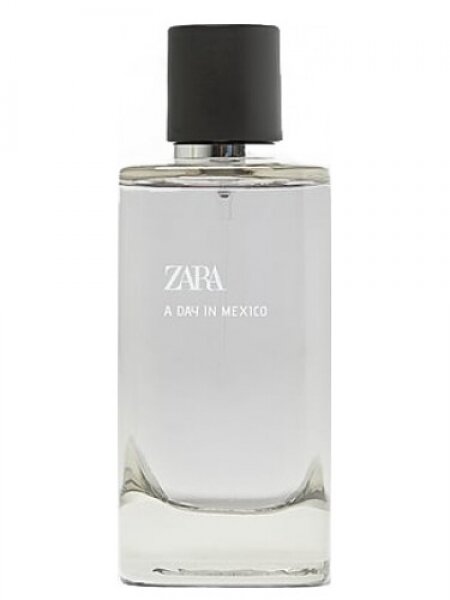 Zara A Day In Mexico EDP 120 ml Erkek Parfümü kullananlar yorumlar